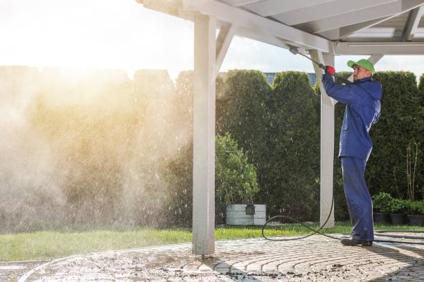 Best Residential House Exterior Washing  in Piketon, OH